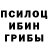 Псилоцибиновые грибы Psilocybe Rowbxt