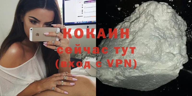 где купить   Новопавловск  Кокаин Fish Scale 