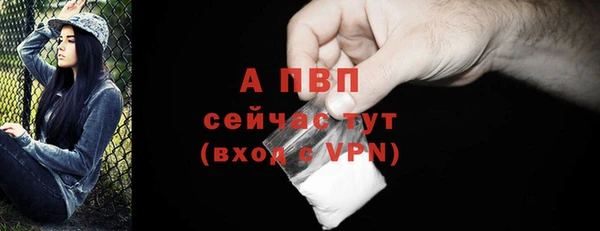 мяу мяу мука Медвежьегорск