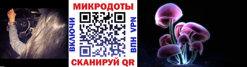 Галлюциногенные грибы Psilocybine cubensis  ссылка на мегу ТОР  Новопавловск  цены  