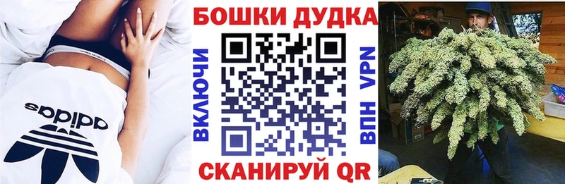 закладки  Новопавловск  МАРИХУАНА сатива 